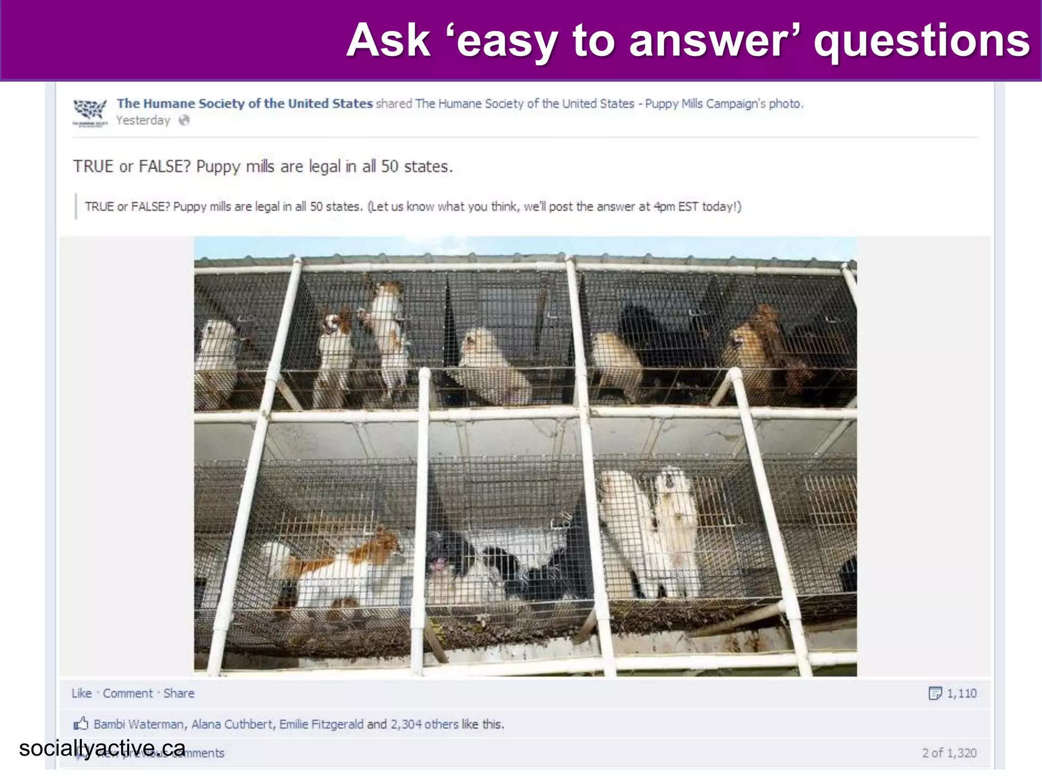 Ask ‘easy to answer’ questions




sociallyactive.ca
 