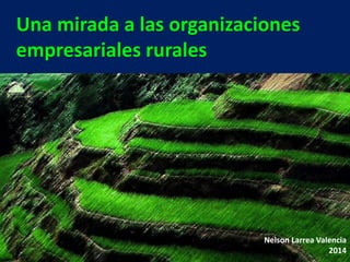 Una mirada a las organizaciones
empresariales rurales
Nelson Larrea Valencia
2014
 