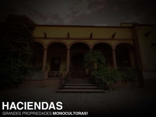 TE - A sociedade Colonial Hispânica