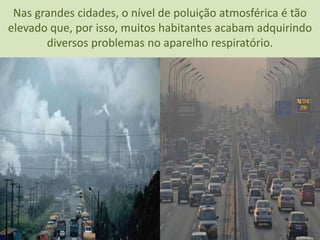 Nas grandes cidades, o nível de poluição atmosférica é tão elevado que, por isso, muitos habitantes acabam adquirindo diversos problemas no aparelho respiratório.