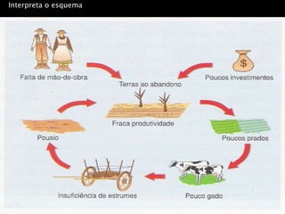 Interpreta o esquema
 