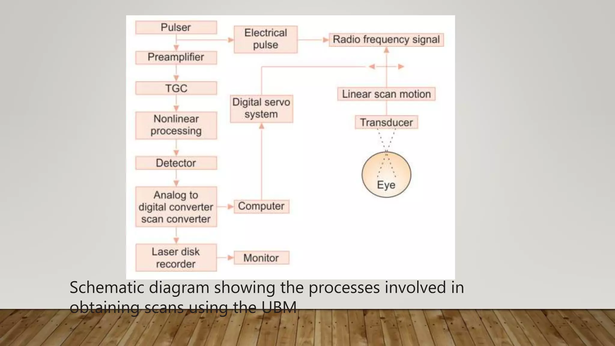 Schematic diagram showing the processes involved in
obtaining scans using the UBM
 