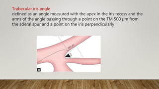 Trabecular iris angle
defined as an angle measured with the apex in the iris recess and the
arms of the angle passing through a point on the TM 500 µm from
the scleral spur and a point on the iris perpendicularly
 