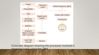 Schematic diagram showing the processes involved in
obtaining scans using the UBM
 