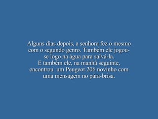 Alguns dias depois, a senhora fez o mesmo com o segundo genro. Também ele jogou-se logo na água para salvá-la. E também ele, na manhã seguinte, encontrou  um Peugeot 206 novinho com uma mensagem no pára-brisa. 