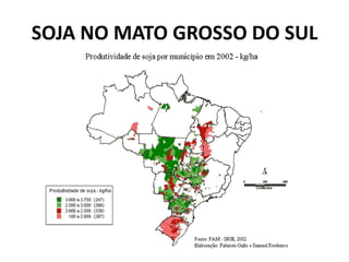 SOJA NO MATO GROSSO DO SUL
 