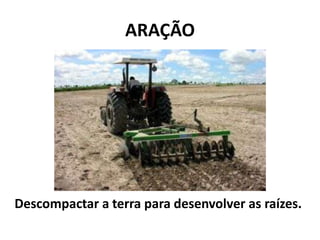 ARAÇÃO




Descompactar a terra para desenvolver as raízes.
 