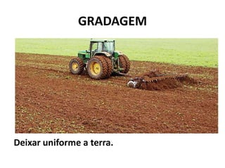 GRADAGEM




Deixar uniforme a terra.
 