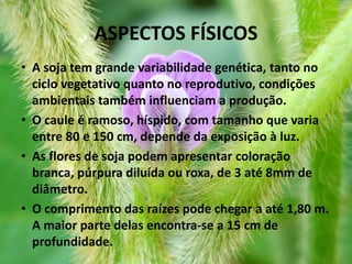 ASPECTOS FÍSICOS
• A soja tem grande variabilidade genética, tanto no
  ciclo vegetativo quanto no reprodutivo, condições
  ambientais também influenciam a produção.
• O caule é ramoso, híspido, com tamanho que varia
  entre 80 e 150 cm, depende da exposição à luz.
• As flores de soja podem apresentar coloração
  branca, púrpura diluída ou roxa, de 3 até 8mm de
  diâmetro.
• O comprimento das raízes pode chegar a até 1,80 m.
  A maior parte delas encontra-se a 15 cm de
  profundidade.
 