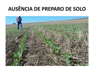 AUSÊNCIA DE PREPARO DE SOLO
 