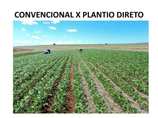 CONVENCIONAL X PLANTIO DIRETO
 