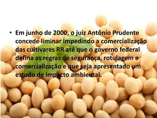 • Em junho de 2000, o juiz Antônio Prudente
  concede liminar impedindo a comercialização
  das cultivares RR até que o governo federal
  defina as regras de segurança, rotulagem e
  comercialização e que seja apresentado um
  estudo de impacto ambiental.
 