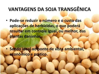 VANTAGENS DA SOJA TRANSGÊNICA
• Pode-se reduzir o número e o custo das
  aplicações de herbicidas, o que poderá
  resultar em controle igual, ou melhor, das
  plantas daninhas .

• Sendo ideal ao ponto de vista ambiental,
  econômico e pratico.
 