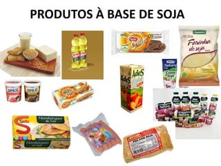 PRODUTOS À BASE DE SOJA
 