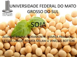 UNIVERSIDADE FEDERAL DO MATO
            GROSSO DO SUL

                  SOJA
ALUNOS: BRUNA FIORAMONTE, KAMILA PASCHOAL,
LETÍCIA LANGE, RENATA MILANI e VINÍCIUS BOTTON
 