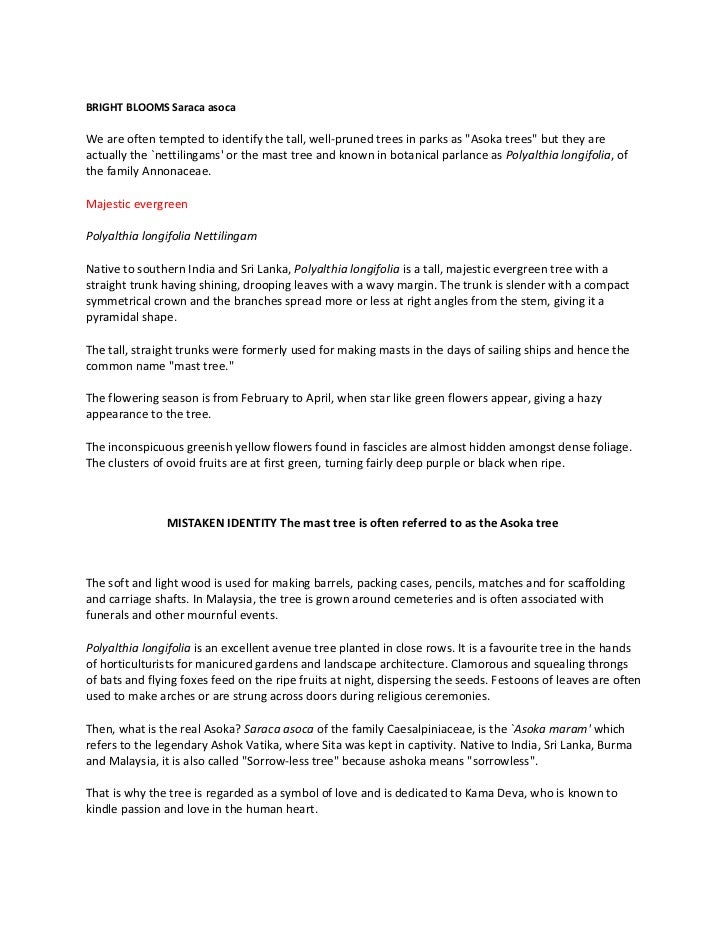 Asoka tree fact and fallacy