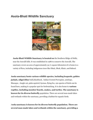 Asola-Bhati Wildlife Sanctuary wildanimals | PDF
