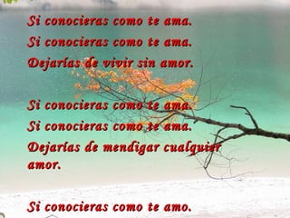 Si conocieras como te ama. Si conocieras como te ama. Dejarías de vivir sin amor. Si conocieras como te ama. Si conocieras como te ama. Dejarías de mendigar cualquier amor.  Si conocieras como te amo. Como te amo serias más feliz. 