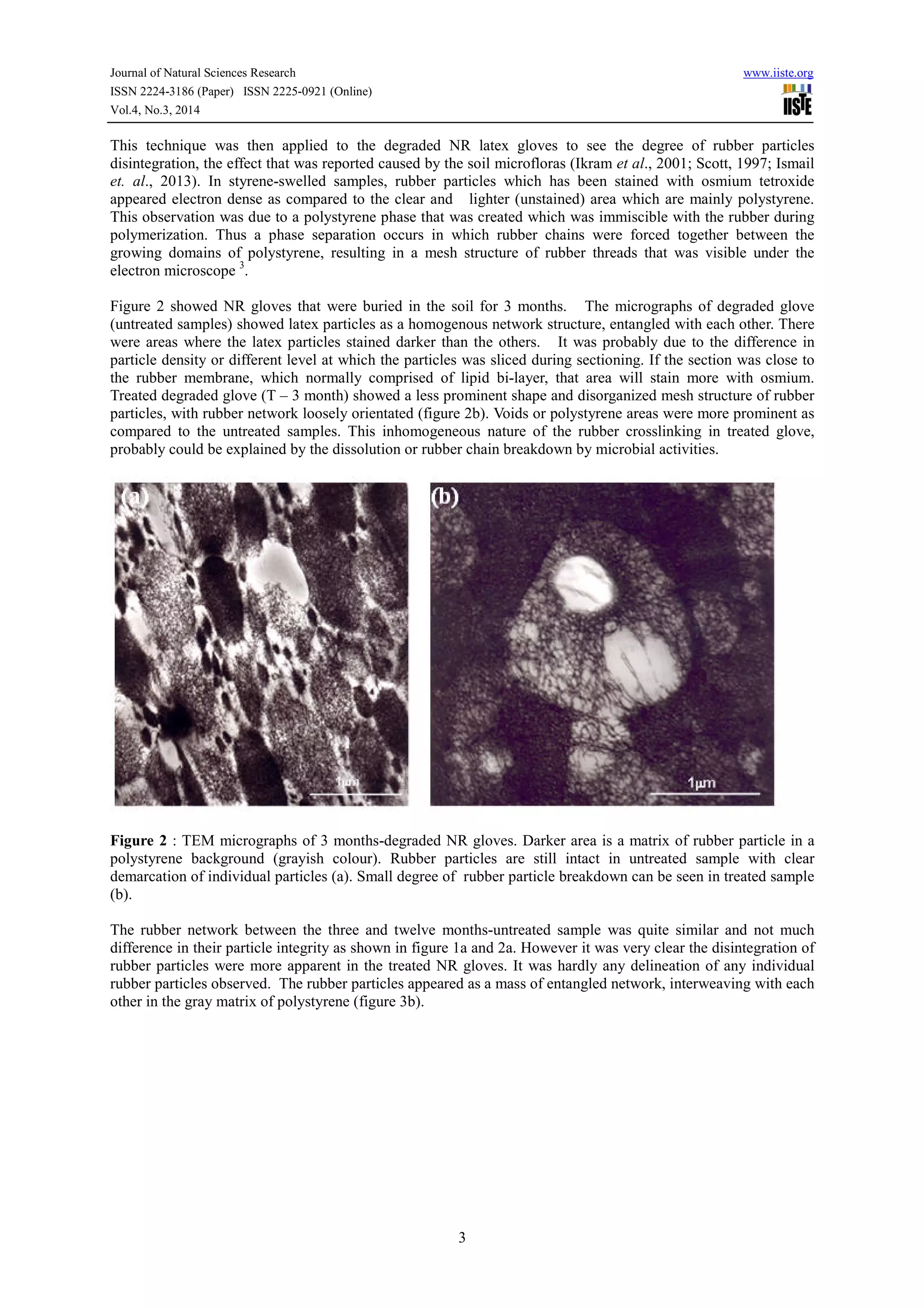 Journal of Natural Sciences Research www.iiste.org
ISSN 2224-3186 (Paper) ISSN 2225-0921 (Online)
Vol.4, No.3, 2014
3
This technique was then applied to the degraded NR latex gloves to see the degree of rubber particles
disintegration, the effect that was reported caused by the soil microfloras (Ikram et al., 2001; Scott, 1997; Ismail
et. al., 2013). In styrene-swelled samples, rubber particles which has been stained with osmium tetroxide
appeared electron dense as compared to the clear and lighter (unstained) area which are mainly polystyrene.
This observation was due to a polystyrene phase that was created which was immiscible with the rubber during
polymerization. Thus a phase separation occurs in which rubber chains were forced together between the
growing domains of polystyrene, resulting in a mesh structure of rubber threads that was visible under the
electron microscope 3
.
Figure 2 showed NR gloves that were buried in the soil for 3 months. The micrographs of degraded glove
(untreated samples) showed latex particles as a homogenous network structure, entangled with each other. There
were areas where the latex particles stained darker than the others. It was probably due to the difference in
particle density or different level at which the particles was sliced during sectioning. If the section was close to
the rubber membrane, which normally comprised of lipid bi-layer, that area will stain more with osmium.
Treated degraded glove (T – 3 month) showed a less prominent shape and disorganized mesh structure of rubber
particles, with rubber network loosely orientated (figure 2b). Voids or polystyrene areas were more prominent as
compared to the untreated samples. This inhomogeneous nature of the rubber crosslinking in treated glove,
probably could be explained by the dissolution or rubber chain breakdown by microbial activities.
Figure 2 : TEM micrographs of 3 months-degraded NR gloves. Darker area is a matrix of rubber particle in a
polystyrene background (grayish colour). Rubber particles are still intact in untreated sample with clear
demarcation of individual particles (a). Small degree of rubber particle breakdown can be seen in treated sample
(b).
The rubber network between the three and twelve months-untreated sample was quite similar and not much
difference in their particle integrity as shown in figure 1a and 2a. However it was very clear the disintegration of
rubber particles were more apparent in the treated NR gloves. It was hardly any delineation of any individual
rubber particles observed. The rubber particles appeared as a mass of entangled network, interweaving with each
other in the gray matrix of polystyrene (figure 3b).
 