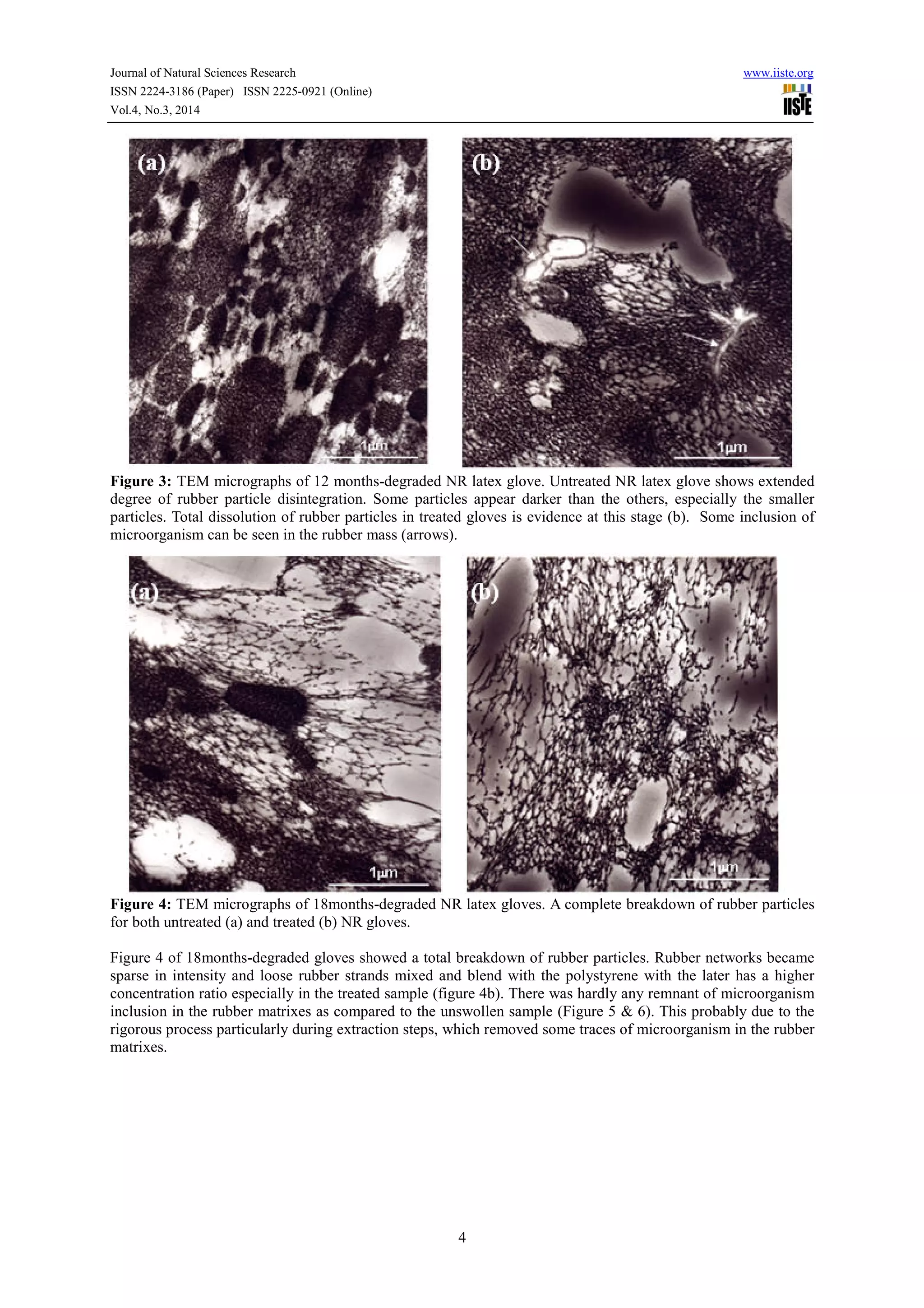 Journal of Natural Sciences Research www.iiste.org
ISSN 2224-3186 (Paper) ISSN 2225-0921 (Online)
Vol.4, No.3, 2014
4
Figure 3: TEM micrographs of 12 months-degraded NR latex glove. Untreated NR latex glove shows extended
degree of rubber particle disintegration. Some particles appear darker than the others, especially the smaller
particles. Total dissolution of rubber particles in treated gloves is evidence at this stage (b). Some inclusion of
microorganism can be seen in the rubber mass (arrows).
Figure 4: TEM micrographs of 18months-degraded NR latex gloves. A complete breakdown of rubber particles
for both untreated (a) and treated (b) NR gloves.
Figure 4 of 18months-degraded gloves showed a total breakdown of rubber particles. Rubber networks became
sparse in intensity and loose rubber strands mixed and blend with the polystyrene with the later has a higher
concentration ratio especially in the treated sample (figure 4b). There was hardly any remnant of microorganism
inclusion in the rubber matrixes as compared to the unswollen sample (Figure 5 & 6). This probably due to the
rigorous process particularly during extraction steps, which removed some traces of microorganism in the rubber
matrixes.
 
