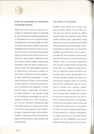 Büyük Veri ve Risk Yönetimi