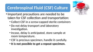 Label Collection Csf Comprehensive Guide to Microbiological Sample Collection and Transport ...