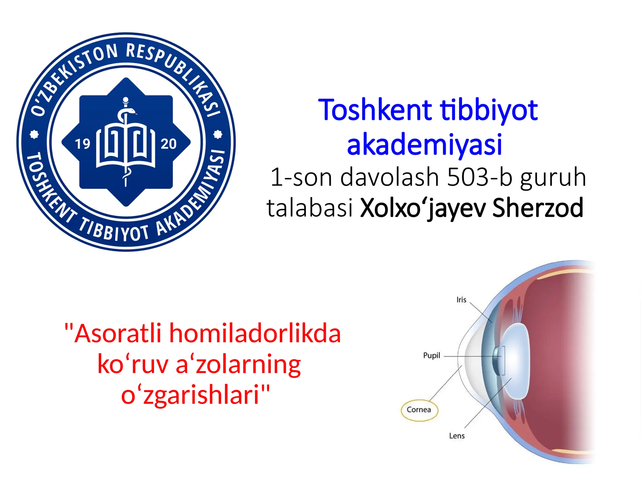 Ayol jurnalini lanet