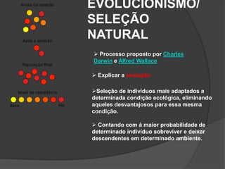 EVOLUCIONISMO/
SELEÇÃO
NATURAL
 Processo proposto por Charles
Darwin e Alfred Wallace
 Explicar a evolução
Seleção de indivíduos mais adaptados a
determinada condição ecológica, eliminando
aqueles desvantajosos para essa mesma
condição.
 Contando com à maior probabilidade de
determinado indivíduo sobreviver e deixar
descendentes em determinado ambiente.
 