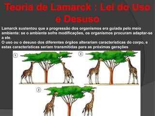 Teoria de Lamarck : Lei do Uso
e Desuso
Lamarck sustentou que a progressão dos organismos era guiada pelo meio
ambiente: se o ambiente sofre modificações, os organismos procuram adaptar-se
a ele.
O uso ou o desuso dos diferentes órgãos alterariam características do corpo, e
estas características seriam transmitidas para as próximas gerações
 