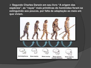  Segundo Charles Darwin em seu livro “A origem das
espécies”, as “raças” mais primitivas do hominídeo foram se
extinguindo aos poucos, por falta de adaptação ao meio em
que viviam.
 