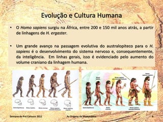Evolução e Cultura Humana
•

O Homo sapiens surgiu na África, entre 200 e 150 mil anos atrás, a partir
de linhagens de H. ergaster.

•

Um grande avanço na passagem evolutiva do australopiteco para o H.
sapiens é o desenvolvimento do sistema nervoso e, consequentemente,
da inteligência. Em linhas gerais, isso é evidenciado pelo aumento do
volume craniano da linhagem humana.

Semana do Pré Calouro 2011

As Origens da Matemática

6

 