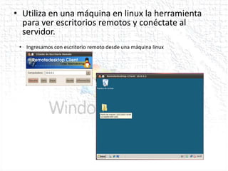 • Utiliza en una máquina en linux la herramienta
  para ver escritorios remotos y conéctate al
  servidor.
 • Ingresamos con escritorio remoto desde una máquina línux
 