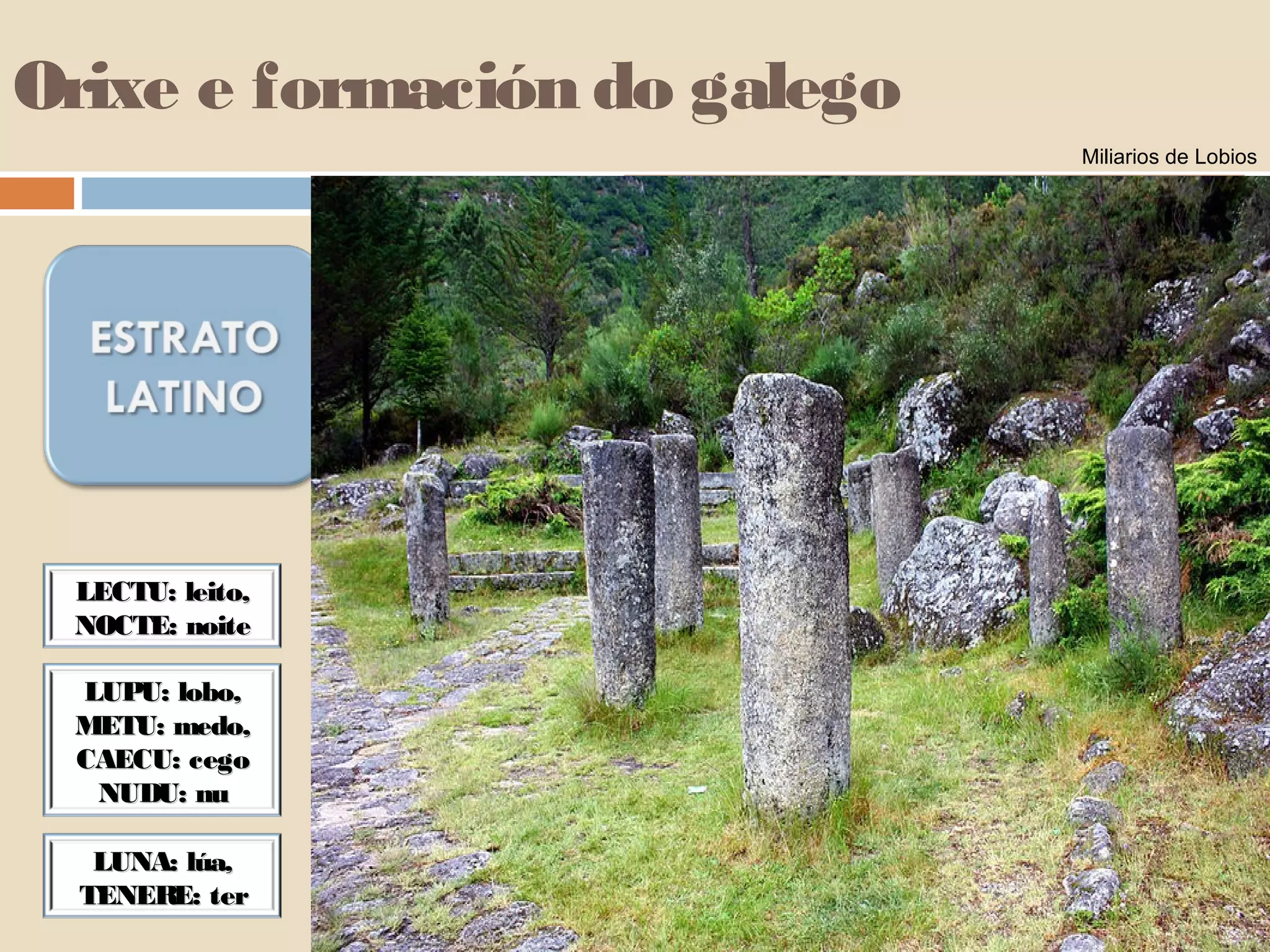 Orixe e formación do galego 
CCOOVVAA 
CCAANNSSAARR 
FFAALLAARR 
PPAAXXAARROO 
MMEEDDOO 
MMAAÑÑÁÁ 
LLEECCTTUU:: lleeiittoo,, 
NNOOCCTTEE:: nnooiittee 
LLUUPPUU:: lloobboo,, 
MMEETTUU:: mmeeddoo,, 
CCAAEECCUU:: cceeggoo 
NNUUDDUU:: nnuu 
LLUUNNAA:: llúúaa,, 
TTEENNEERREE:: tteerr 
Miliarios de Lobios 
 