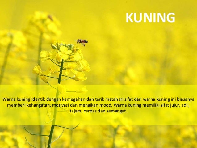 101+ Gambar Pemandangan Warna Kuning Paling Bagus 101+ Gambar Pemandangan Warna Kuning Paling Bagus