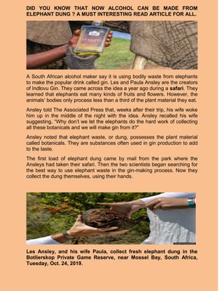 DID YOU KNOW THAT NOW ALCOHOL CAN BE MADE FROM
ELEPHANT DUNG ? A MUST INTERESTING READ ARTICLE FOR ALL.
A South African alcohol maker say it is using bodily waste from elephants
to make the popular drink called gin. Les and Paula Ansley are the creators
of Indlovu Gin. They came across the idea a year ago during a safari. They
learned that elephants eat many kinds of fruits and flowers. However, the
animals? bodies only process less than a third of the plant material they eat.
Ansley told The Associated Press that, weeks after their trip, his wife woke
him up in the middle of the night with the idea. Ansley recalled his wife
suggesting, Why don?t we let the elephants do the hard work of collecting
all these botanicals and we will make gin from it?
Ansley noted that elephant waste, or dung, possesses the plant material
called botanicals. They are substances often used in gin production to add
to the taste.
The first load of elephant dung came by mail from the park where the
Ansleys had taken their safari. Then the two scientists began searching for
the best way to use elephant waste in the gin-making process. Now they
collect the dung themselves, using their hands.
Les Ansley, and his wife Paula, collect fresh elephant dung in the
Botlierskop Private Game Reserve, near Mossel Bay, South Africa,
Tuesday, Oct. 24, 2019.
 