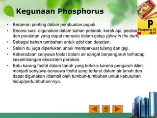 Kegunaan Phosphorus
• Berperan penting dalam pembuatan pupuk.
• Secara luas digunakan dalam bahan peledak, korek api, pestisida,
dan peralatan yang dapat menyala dalam gelap (glow in the dark).
• Sebagai bahan tambahan untuk odol dan deterjen.
• Selain itu juga diperlukan untuk memperkuat tulang dan gigi.
• Keberadaan senyawa fosfat dalam air sangat berpengaruh terhadap
keseimbangan ekosistem perairan.
• Batu karang fosfat dalam tanah yang terkikis karena pengaruh iklim
menjadi senyawa-senyawa fosfat yang terlarut dalam air tanah dan
dapat digunakan /diambil oleh tumbuh-tumbuhan untuk kebutuhan
hidup/pertumbuhannnya.
 