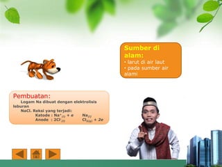 Sumber di
alam:
• larut di air laut
• pada sumber air
alami
Pembuatan:
Logam Na dibuat dengan elektrolisis
leburan
NaCl. Reksi yang terjadi:
Katode : Na+
(l) + e Na(l)
Anode : 2Cl-
(l) Cl2(g) + 2e
 