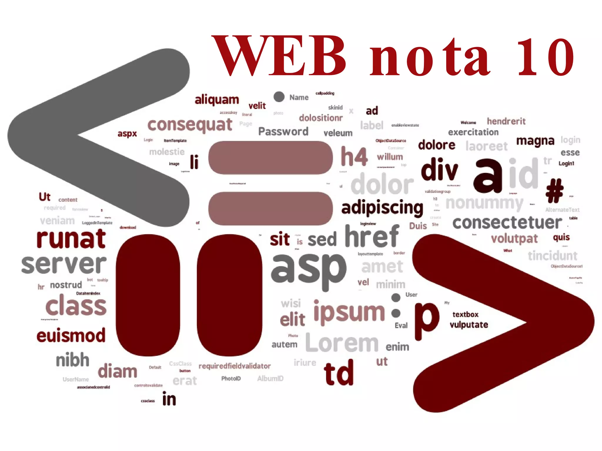 WEB nota 10 