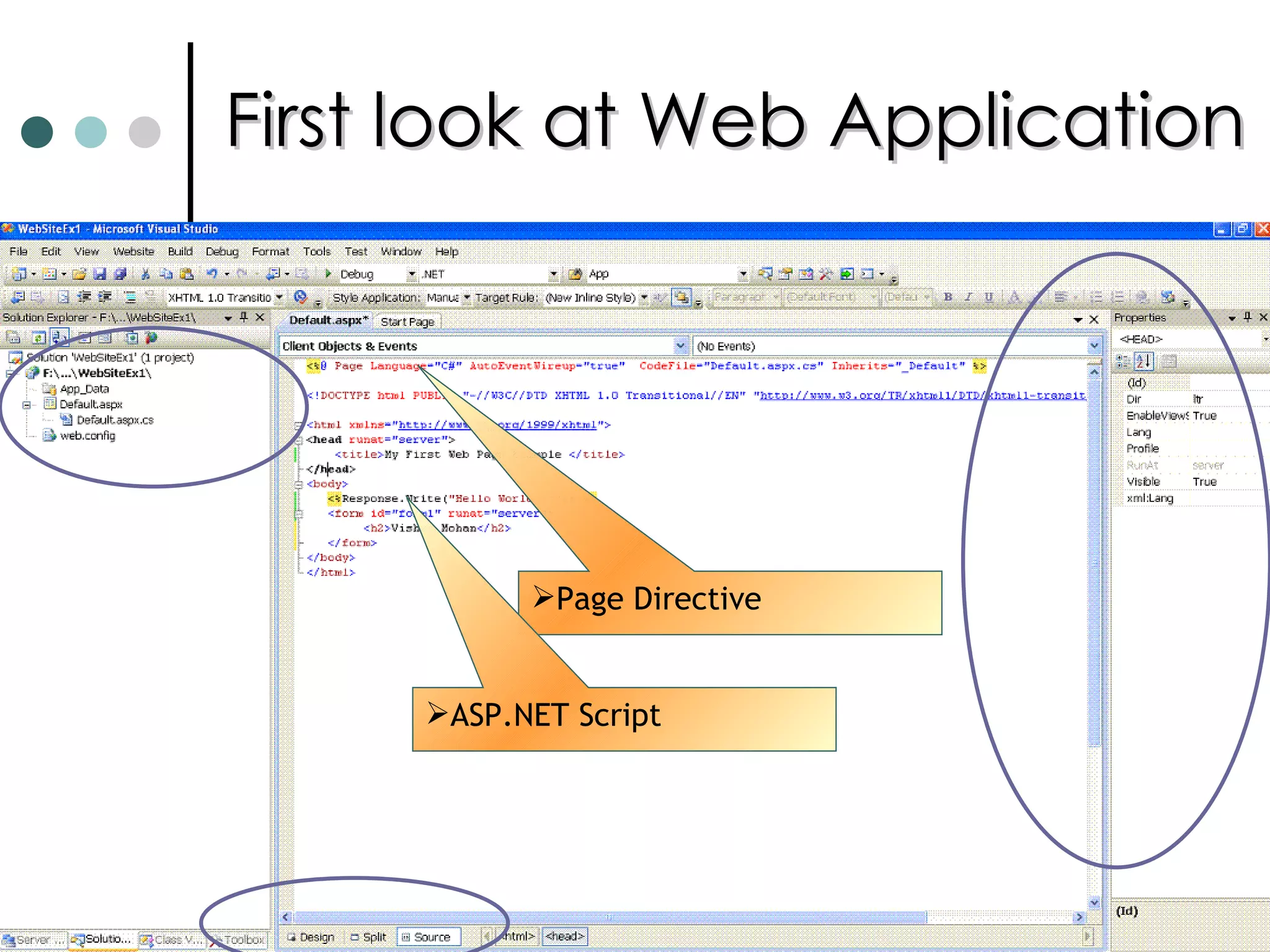 First look at Web Application Page Directive ASP.NET Script 