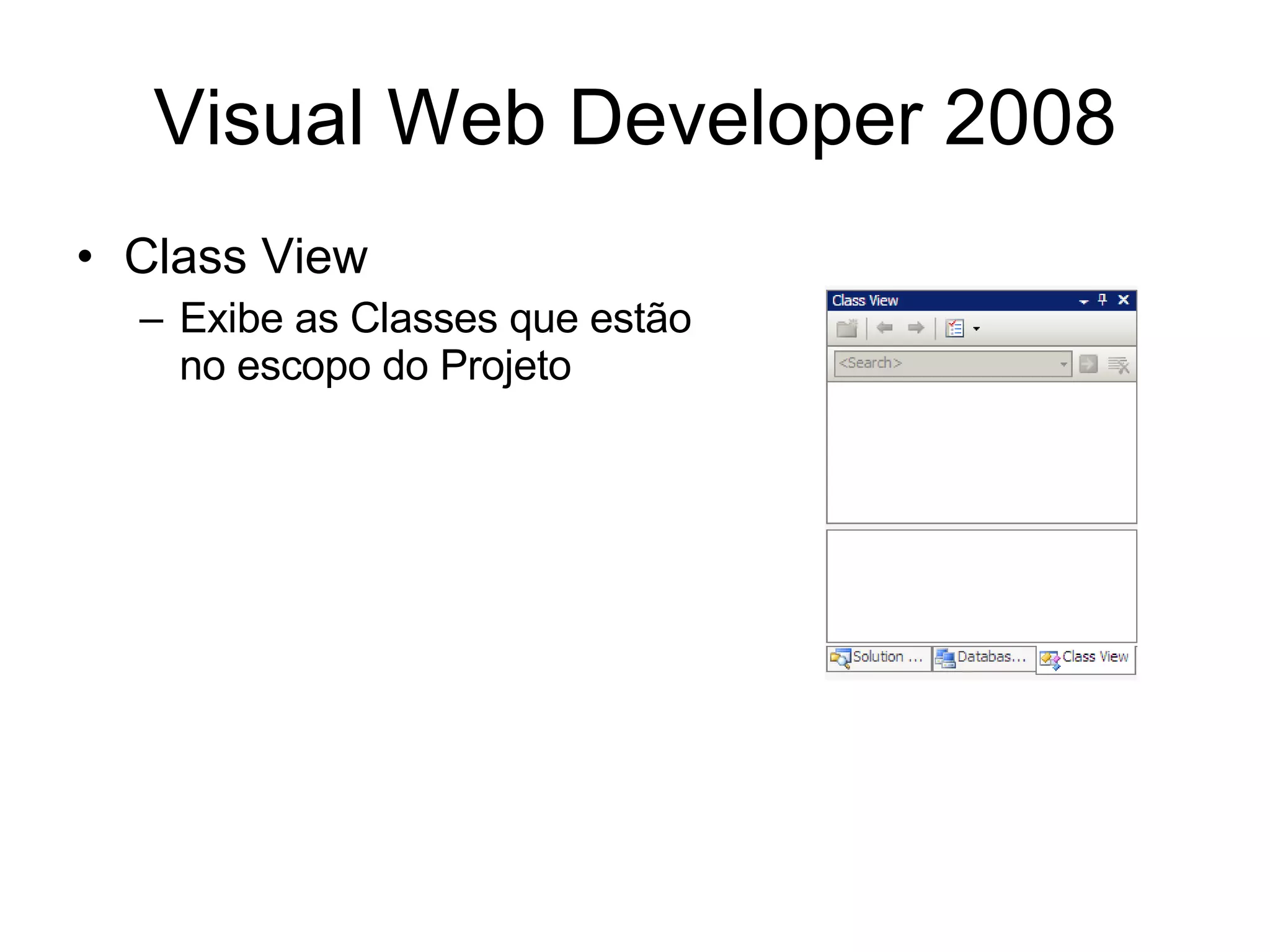 Visual Web Developer 2008 Class View Exibe as Classes que estão no escopo do Projeto 