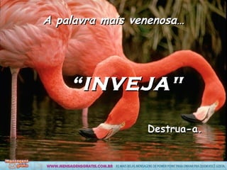 A palavra mais venenosa… “ INVEJA" Destrua-a.