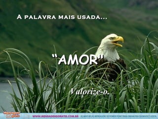 A palavra mais usada... “ AMOR" Valorize-o.