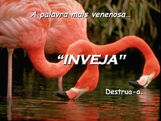 A palavra mais venenosa… “ INVEJA" Destrua-a. 