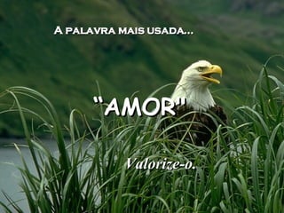 A palavra mais usada... “ AMOR" Valorize-o. 
