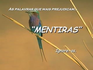 As palavras que mais prejudicam... “ MENTIRAS” Ignore-as. 