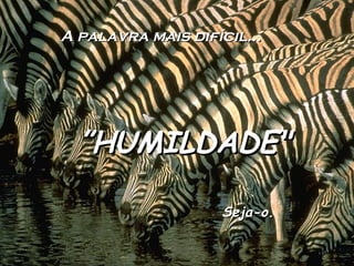 A palavra mais difícil… ” HUMILDADE" Seja-o. 