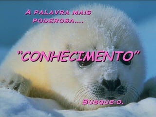 A palavra mais
poderosa….
“CONHECIMENTO”
Busque-o.