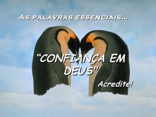 As palavras essenciais…As palavras essenciais…
““CONFIANÇA EMCONFIANÇA EM
DEUS"DEUS"
Acredite!Acredite!