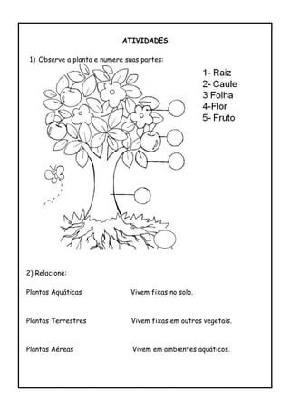 ATIVIDADES
1) Observe a planta e numere suas partes:
2) Relacione:
Plantas Aquáticas Vivem fixas no solo.
Plantas Terrestres Vivem fixas em outros vegetais.
Plantas Aéreas Vivem em ambientes aquáticos.
 