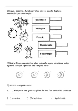 3) Ligue o desenhe a função correta e escreva a parte da planta
responsável por cada função:
4) Nestas flores, represente o pólen e desenhe alguns animais que podem
ajudar a carregar o pólen de uma flor para outra:
5) Assinale a resposta certa:
a. O transporte dos grãos de pólen de uma flor para outra chama-se
______________________ .
( ) sementes ( )fotossíntese ( ) polinização
 